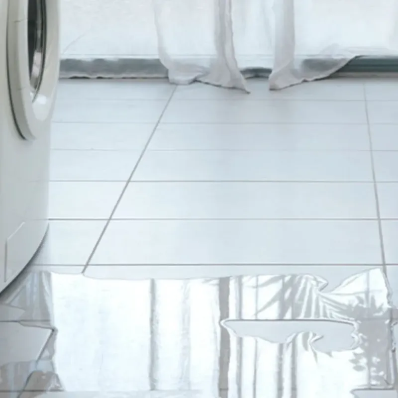 Appliance Leak Cleanup in Tazewell, VA