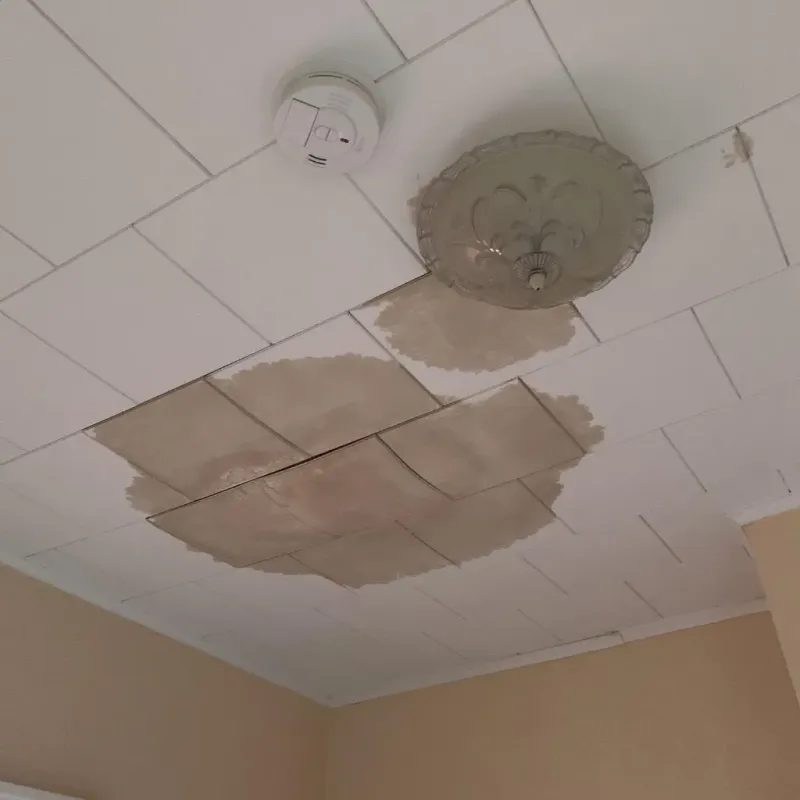 Ceiling Water Damage Repair in Tazewell, VA