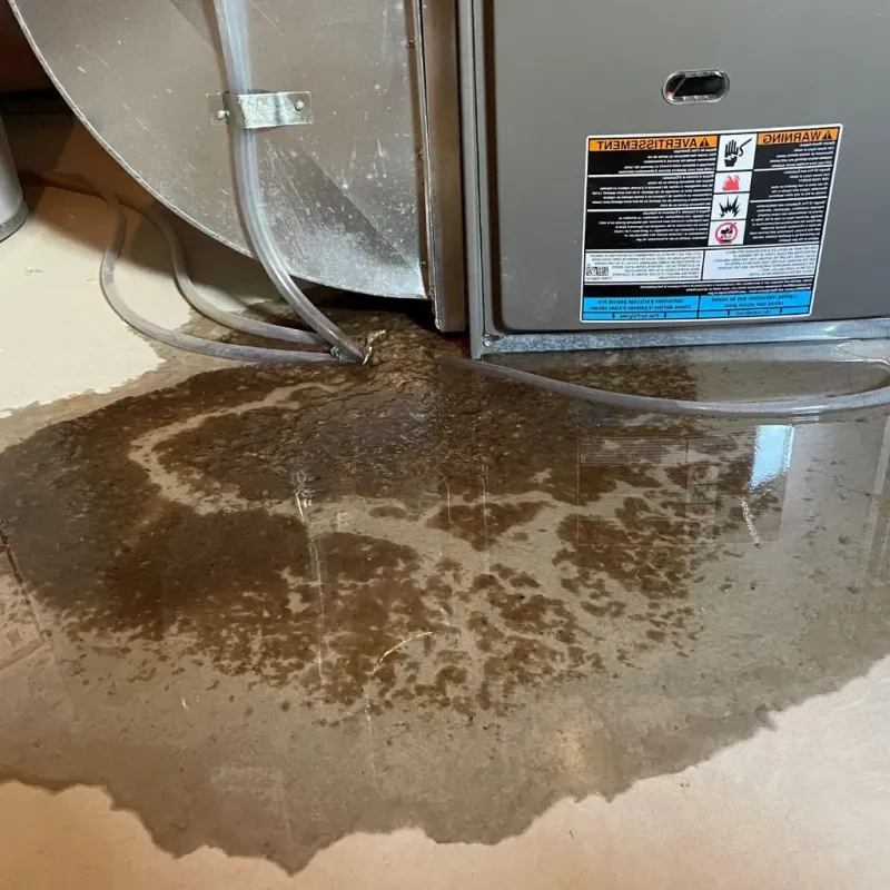 Pipe Burst and Leak Restoration in Tazewell, VA