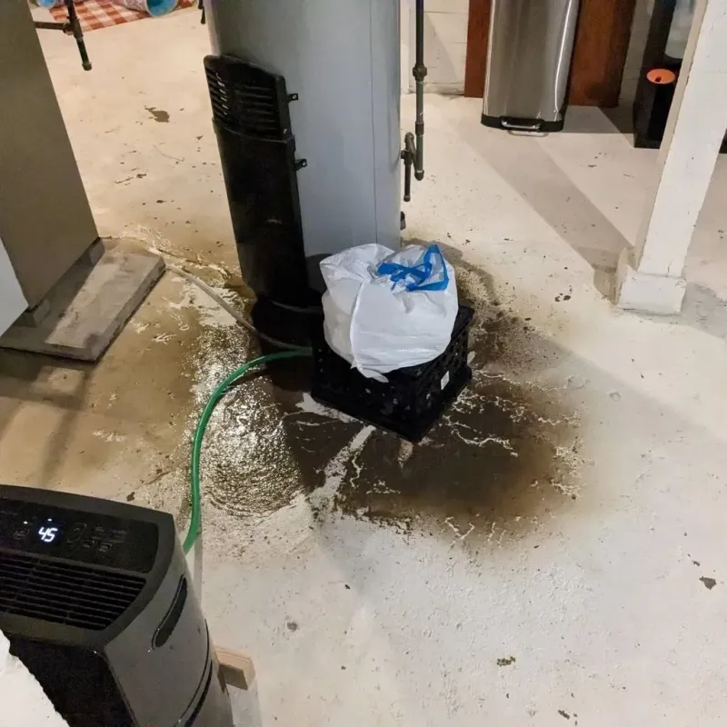 Sewage Backup Cleanup Service in Tazewell, VA